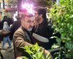 توزیع شبانه نهال مثمر در میدان امام حسین(ع) ساری