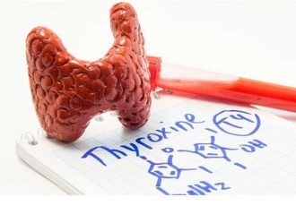 تیروئید؛ غده‌ای کوچک با تأثیری بزرگ بر سوخت‌وساز بدن