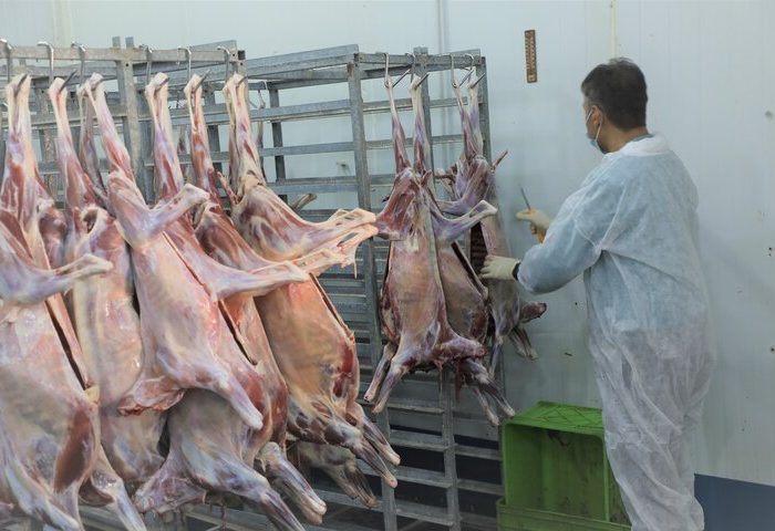 جنگ فعالیت دامپزشکی اصفهان را تعطیل نکرد؛کشف ۵۴تن محصول غیربهداشتی