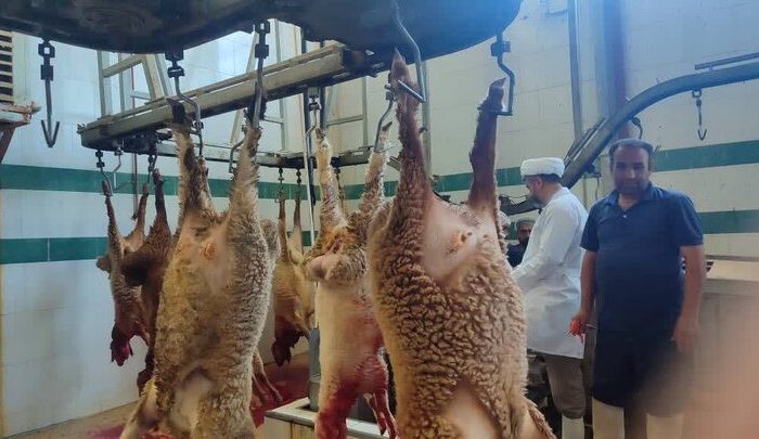 خلیل زاده: ۶۶ اکیپ دامپزشکی بر ذبح دام ها در عید قربان نظارت می کنند