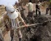 درخشش گروه‌های جهادی در شاهرود؛ «نهضت آسفالت» تا آب‌رسانی به روستاها