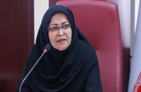 رئیس سازمان ملی استاندارد: هویت‌بخشی به محصولات بومی در دستور کار است