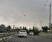 روند تدریجی افزایش دما در زنجان؛ هشدار زرد هواشناسی صادر شد