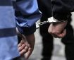 سارق باغات همدان دستگیر شد؛ اعتراف به ۱۰ فقره سرقت