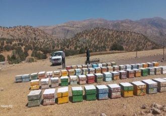 ساماندهی محل اسکان زنبورداران در بخش میانکوه اردل آغاز شد