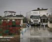 صادرات ۱۵۲ هزار تن محصولات باغی در مازندران صادرات ۱۵۲ هزار تن محصولات باغی در مازندران