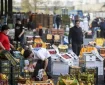 طرح تشدید نظارت بر کالاهای کشاورزی کلید خورد/ ۳۱ هزار پرونده تخلف در ۱۴۰۴