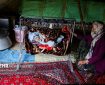 علوی‌مقدم: آمار عشایر خراسان شمالی از سال گذشته بلاتکلیف است
