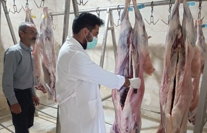 فتاحی: ۳۶ گروه نظارتی روز عید قربان ناظر ذبح دام در مرکزی هستند