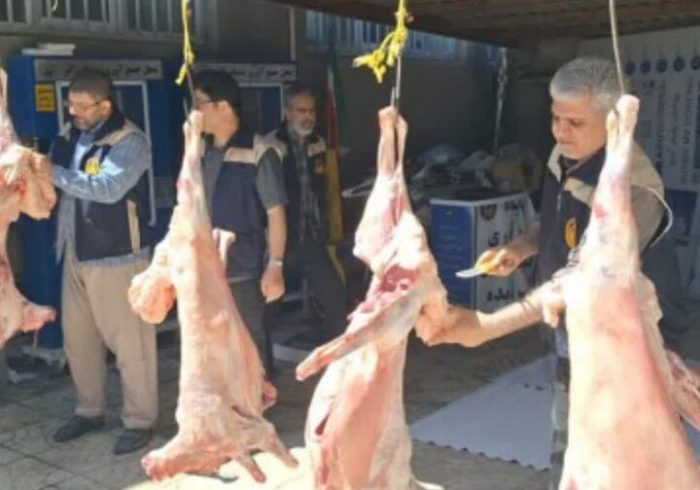 فعالیت ۳۷ گروه ثابت و سیار دامپزشکی یزد در عید قربان