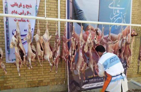 فعالیت ۸۸ اکیپ دامپزشکی برای نظارت بر ذبح شرعی در آذربایجان‌شرقی