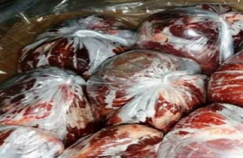 محموله گوشت اسب در سنقروکلیایی معدوم شد
