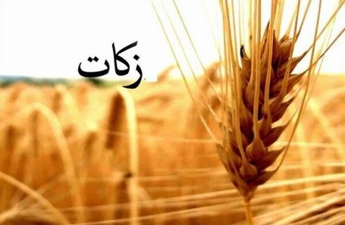 مردم چهارمحال و بختیاری بیش از ۵۵ میلیارد تومان زکات پرداخت کردند