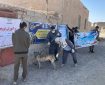 واکسیناسیون بیش از ۲هزار قلاده سگ علیه بیماری هاری در سیستان وبلوچستان