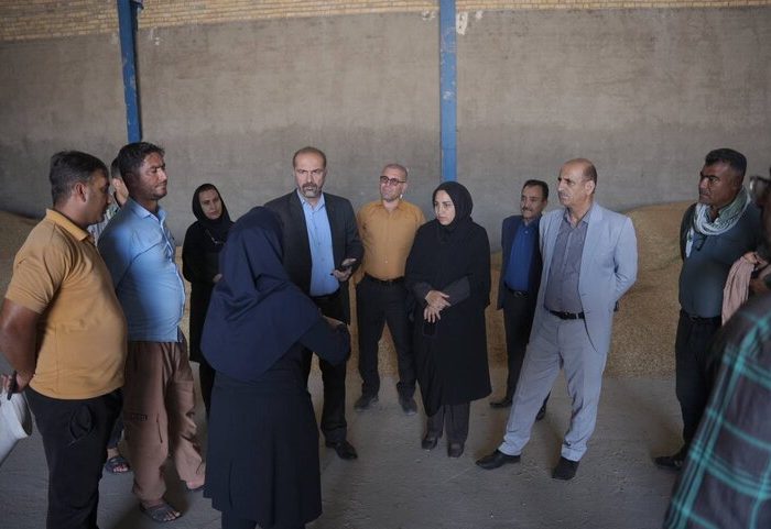 پیش بینی برداشت ۳۰ هزار تن گندم در شهرستان گچساران