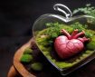 چرا آمار اهدای عضو سقوط کرد؟