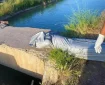 کشف پیکر جوان اندیمشکی مفقود در رودخانه دز+ جزئیات