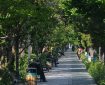 کیفیت هوای تهران قابل‌قبول شد