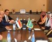 گفت‌وگوی وزیران خارجه مصر و عربستان درباره جنگ در منطقه