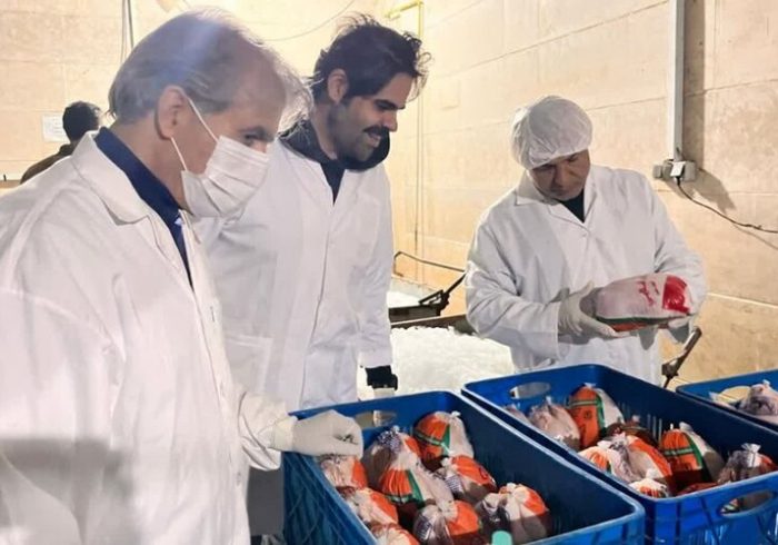 یارویسی: سلامت گوشت طیور خط قرمز دامپزشکی است