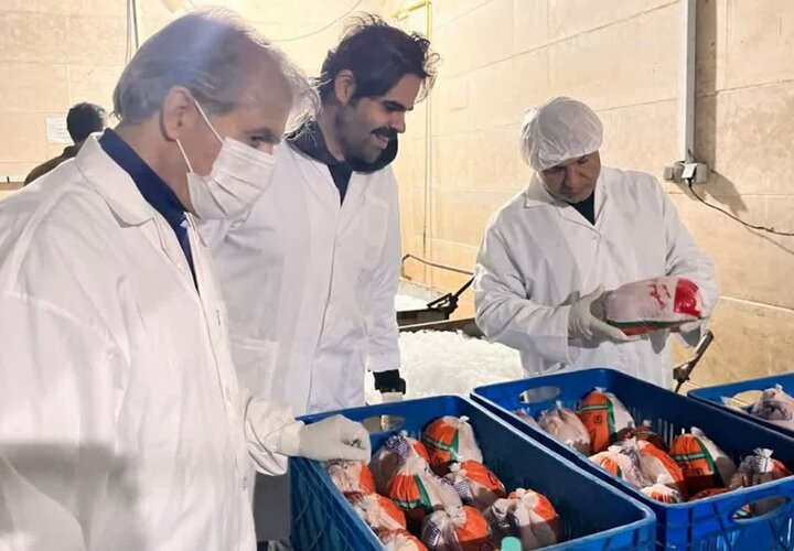 یارویسی: سلامت گوشت طیور خط قرمز دامپزشکی است