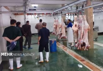 ۶۳ رأس دام سبک و سنگین در شاهرود برای کمک به نیازمندان ذبح شد