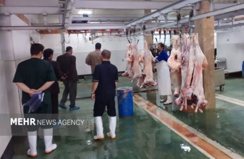 ۶۳ رأس دام سبک و سنگین در شاهرود برای کمک به نیازمندان ذبح شد