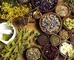گل درمانی: چگونه گلها به کاهش استرس کمک میکنند؟ گل درمانی: چگونه گلها به کاهش استرس کمک میکنند؟