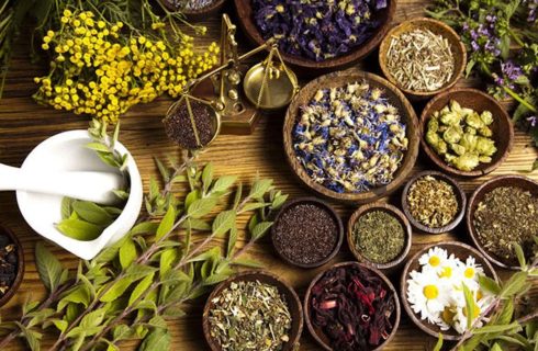 گل درمانی: چگونه گل‌ها به کاهش استرس کمک می‌کنند؟