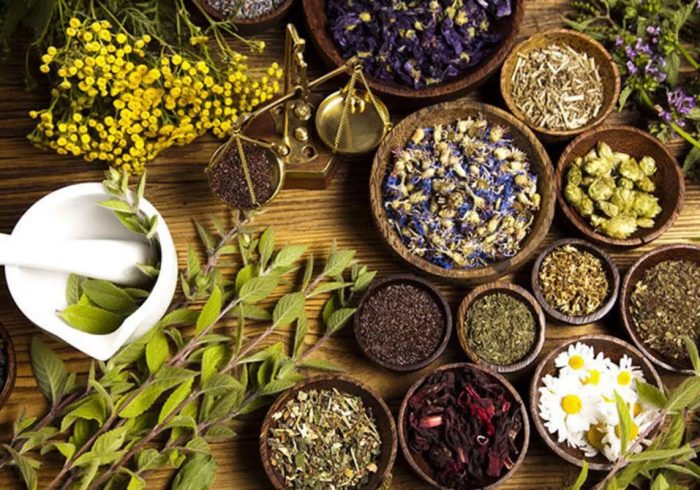 گل درمانی: چگونه گل‌ها به کاهش استرس کمک می‌کنند؟