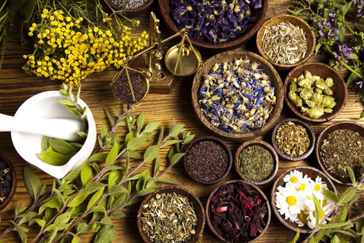 گل درمانی: چگونه گل‌ها به کاهش استرس کمک می‌کنند؟