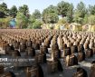 ارائه بیش از ۲۲۰ هزار خدمت به مددجویان و نیازمندان در جنگ رمضان ارائه بیش از ۲۲۰ هزار خدمت به مددجویان و نیازمندان در جنگ رمضان