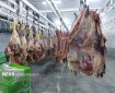ایران و رومانی در مسیر توسعه صادرات فرآوردههای خام دامی ایران و رومانی در مسیر توسعه صادرات فرآوردههای خام دامی
