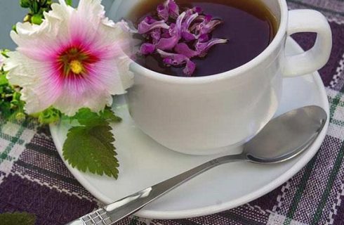 با این۳ گیاه سرفه‌های مداوم را درمان کنید