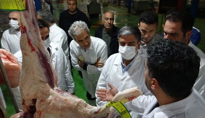 بیش از ۶۴ هزار راس دام زنده زیر نظر سازمان دامپزشکی ذبح شد