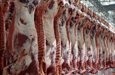 رفع موانع فنی و بهداشتی، شرط جهش تجارت با اوراسیا است