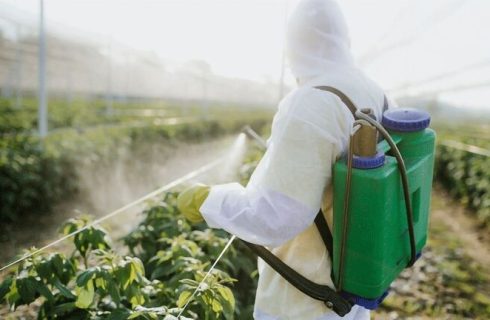 مانور سراسری پایش آفت‌کش‌ها و نظارت قرنطینه‌ای در لرستان
