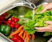 نکات  مهم یک فوق تخصص گوارش درباره نحوه مصرف کردن میوه و سبزیجات در تابستان