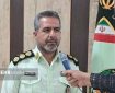 کشف ۲۵ راس احشام فاقد مجوز در میامی؛ ۲ خودروی متخلف توقیف شدند