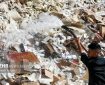 یک و نیم تن مواد مخدر در قم امحا شد