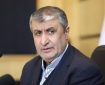 اسلامی: صنعت هسته‌ای ایران مرهون هدایت‌ها و حمایت‌های امام شهید است