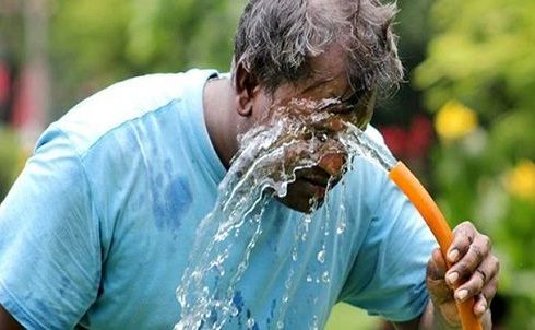 بهترین خوراکی‌های سنتی برای پیشگیری از گرمازدگی؛ توصیه‌های طب ایرانی