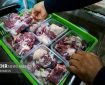 جابهجایی کالاهای مشمول نظارت دامپزشکی بدون مجوز بهداشتی ممنوع است جابهجایی کالاهای مشمول نظارت دامپزشکی بدون مجوز بهداشتی ممنوع است