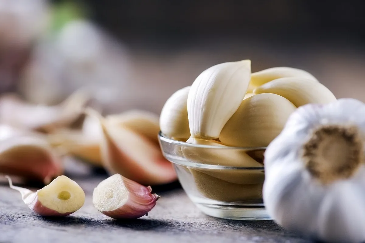 خواص سیر برای بدن؛ سیر چه فوایدی دارد و چه کسانی نباید مصرف کنند؟