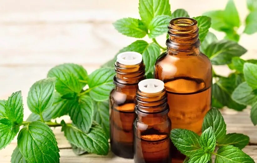 روغن این گیاه فشارخون بالا را ۲۰ روزه بهبود می‌بخشد