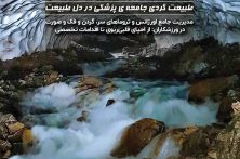 طبیعت ؛ کلاس درس مهارت، آرامش و آمادگی