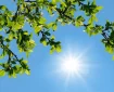 هشدار هواشناسی به ساکنان این استانٰها/ گرمای بیسابقه در راه است هشدار هواشناسی به ساکنان این استانٰها/ گرمای بیسابقه در راه است