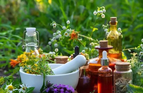 گیاهان دارویی؛ از درمانهای سنتی تا ضرورت مصرف آگاهانه گیاهان دارویی؛ از درمانهای سنتی تا ضرورت مصرف آگاهانه