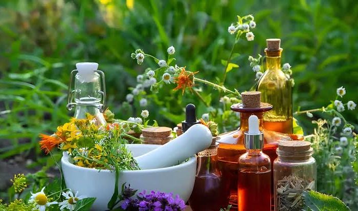 گیاهان دارویی؛ از درمان‌های سنتی تا ضرورت مصرف آگاهانه