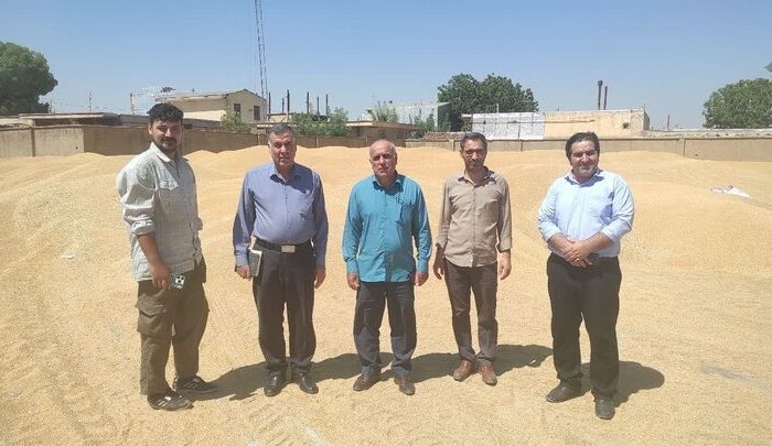 بازدید اکیپ نظارتی سازمان تعاون روستایی لرستان از مرکز خرید گندم دلفان
